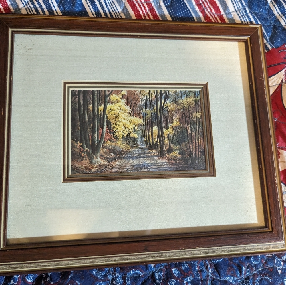 Jim Gray seasons of the Smokies set of 4 Vintage Wooden frame
